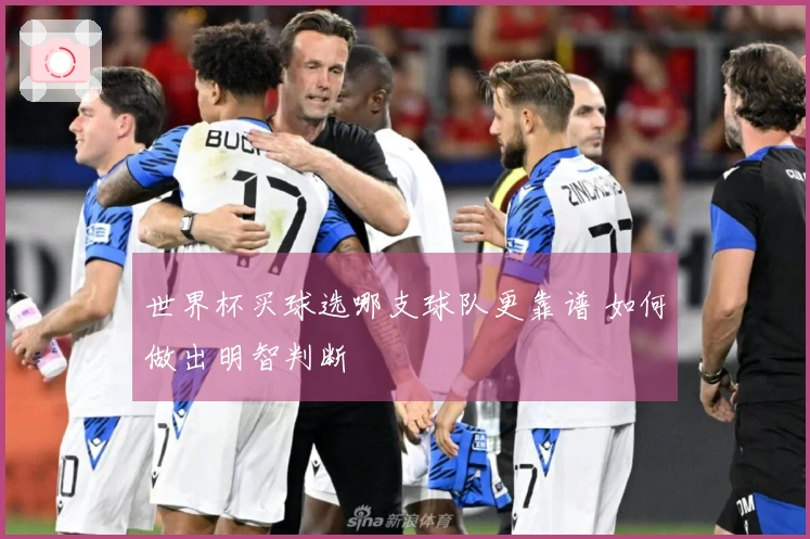 世界杯买球选哪支球队更靠谱 如何做出明智判断