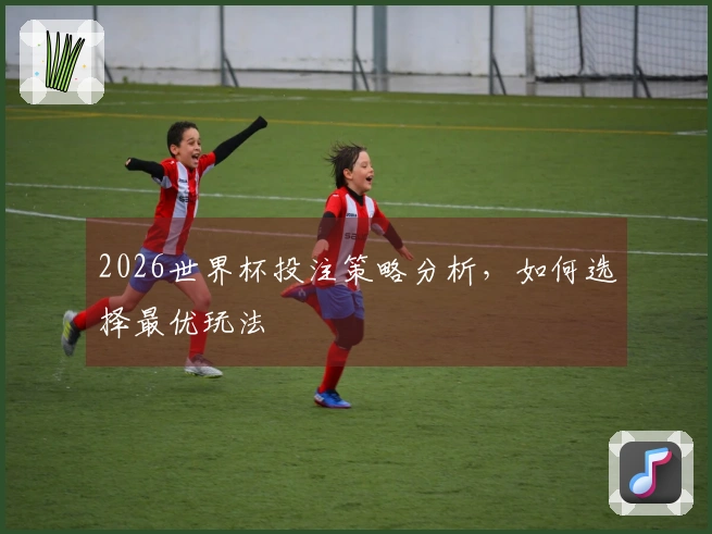 2026世界杯投注策略分析，如何选择最优玩法