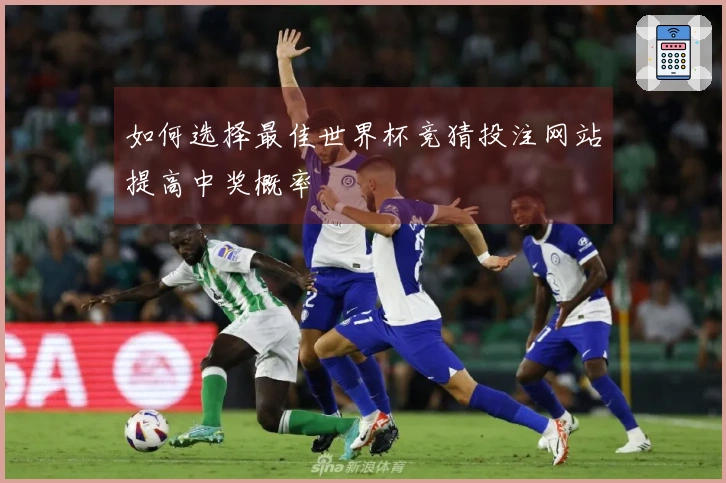 如何选择最佳世界杯竞猜投注网站提高中奖概率