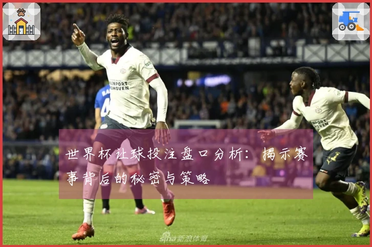 世界杯让球投注盘口分析：揭示赛事背后的秘密与策略