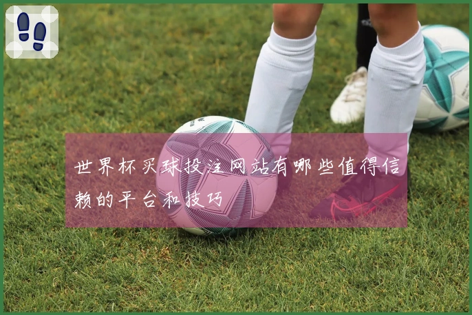 世界杯买球投注网站有哪些值得信赖的平台和技巧