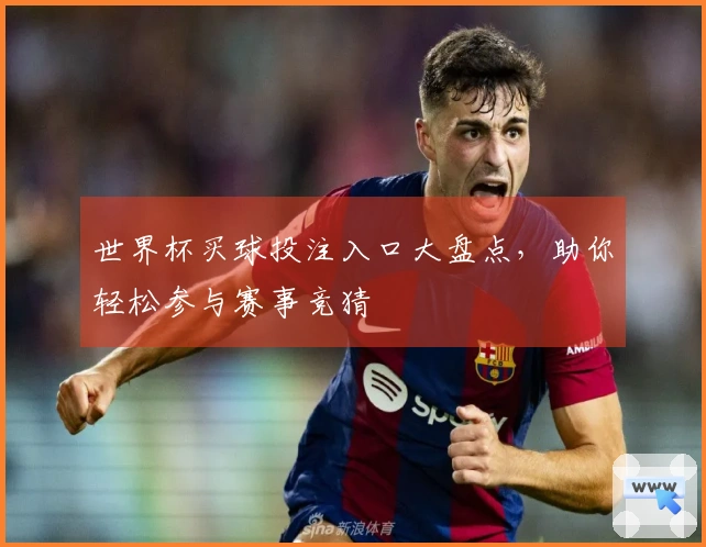 世界杯买球投注入口大盘点，助你轻松参与赛事竞猜