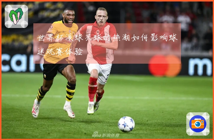 世界杯滚球买球的热潮如何影响球迷观赛体验