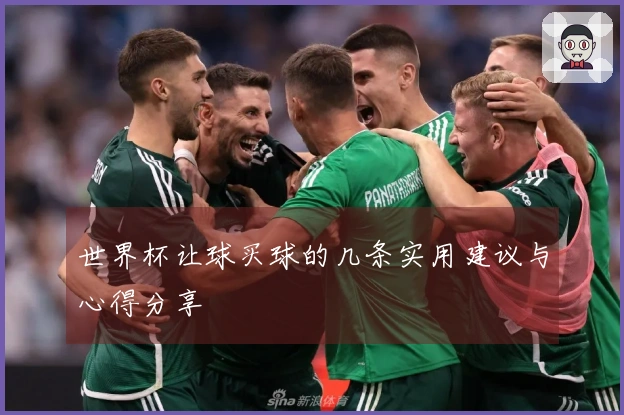 世界杯让球买球的几条实用建议与心得分享