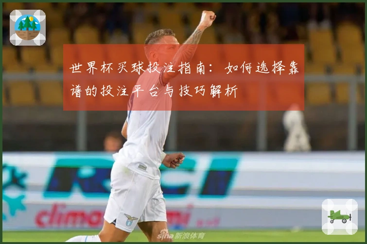 世界杯买球投注指南：如何选择靠谱的投注平台与技巧解析