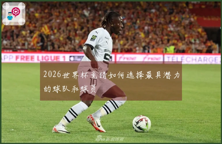 2026世界杯竞猜如何选择最具潜力的球队和球员