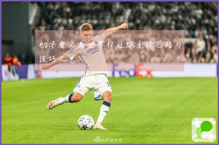 初学者必看世界杯让球竞猜思路与技巧汇总