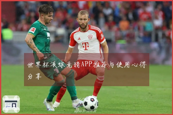 世界杯滚球竞猜APP推荐与使用心得分享
