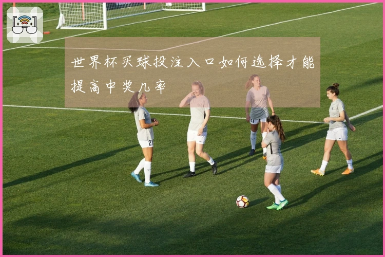 世界杯买球投注入口如何选择才能提高中奖几率