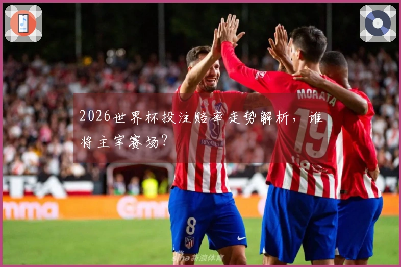2026世界杯投注赔率走势解析，谁将主宰赛场？