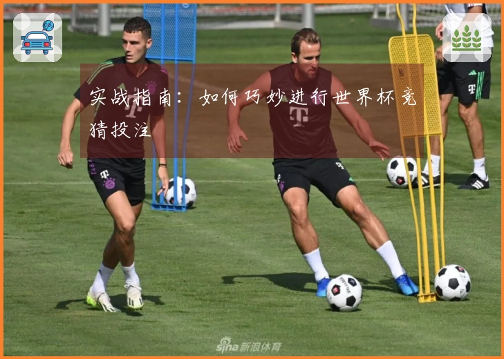 实战指南：如何巧妙进行世界杯竞猜投注