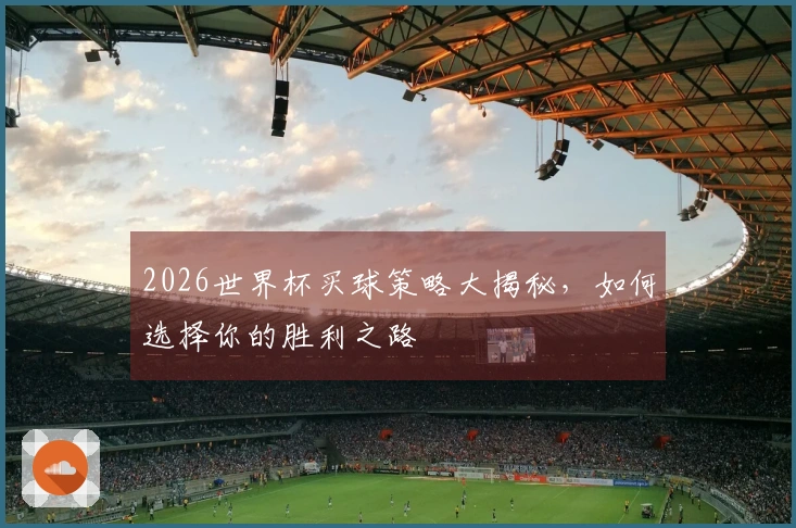 2026世界杯买球策略大揭秘，如何选择你的胜利之路