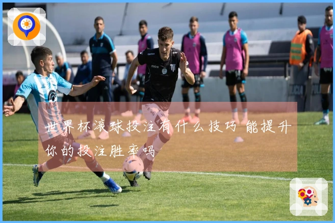 世界杯滚球投注有什么技巧 能提升你的投注胜率吗