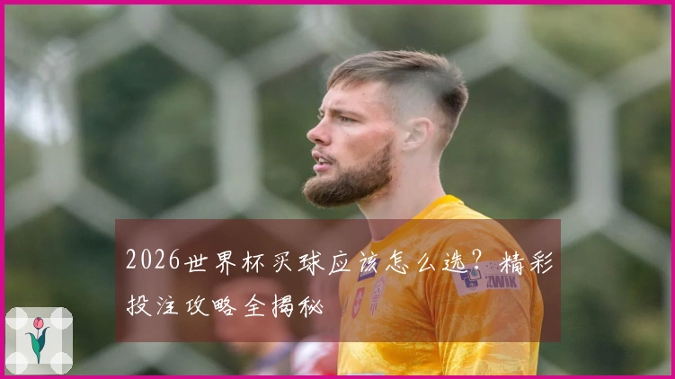 2026世界杯买球应该怎么选？精彩投注攻略全揭秘
