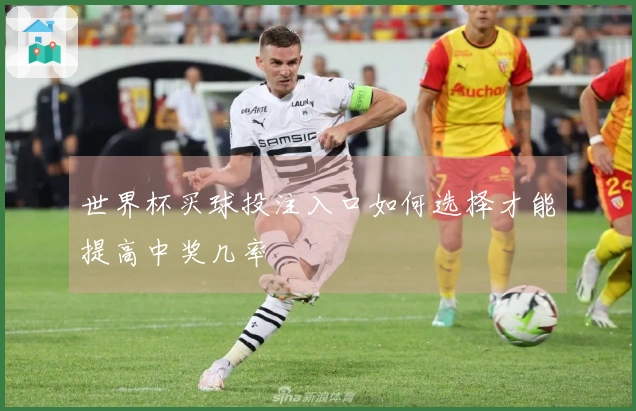 世界杯买球投注入口如何选择才能提高中奖几率